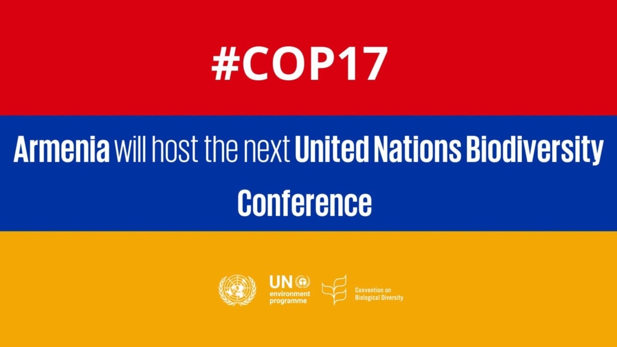 ՔՊ-ի ներքին մրցավազդը՝ 2026 թվականի ընտրությունների համար